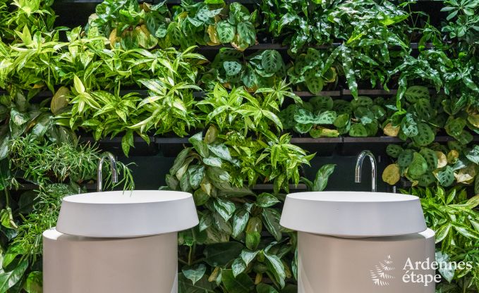 Holiday cottage in La Roche-en-Ardenne for 2 persons in the Ardennes