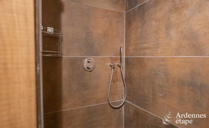 Luxury villa in La Roche-en-Ardenne for 12/14 persons in the Ardennes