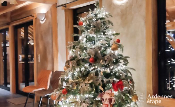 Luxury villa in La Roche-en-Ardenne for 12/14 persons in the Ardennes