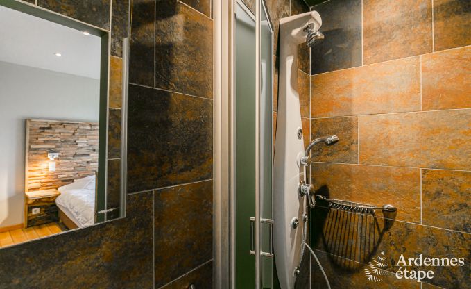 Luxury villa in La Roche en Ardenne for 14/15 persons in the Ardennes