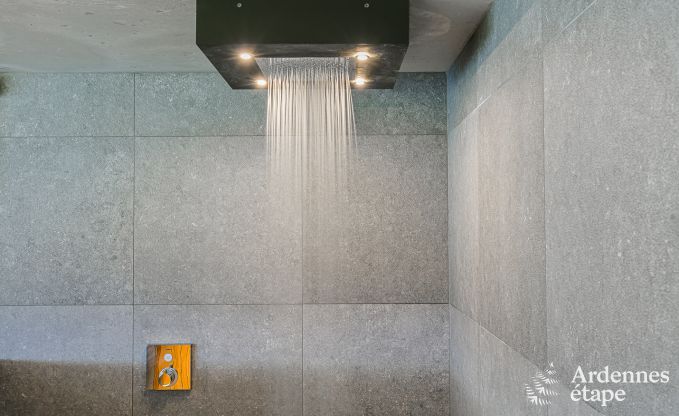 Luxury villa in La Roche en Ardenne for 14/15 persons in the Ardennes