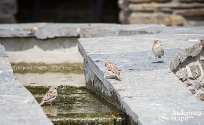 Holiday cottage in La Roche for 8 persons in the Ardennes