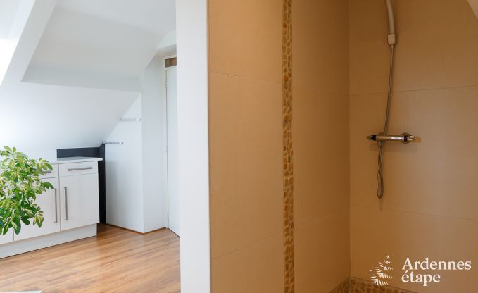 Luxury villa in La Roche for 9 persons in the Ardennes