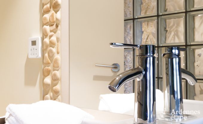 Luxury villa in La Roche for 9 persons in the Ardennes