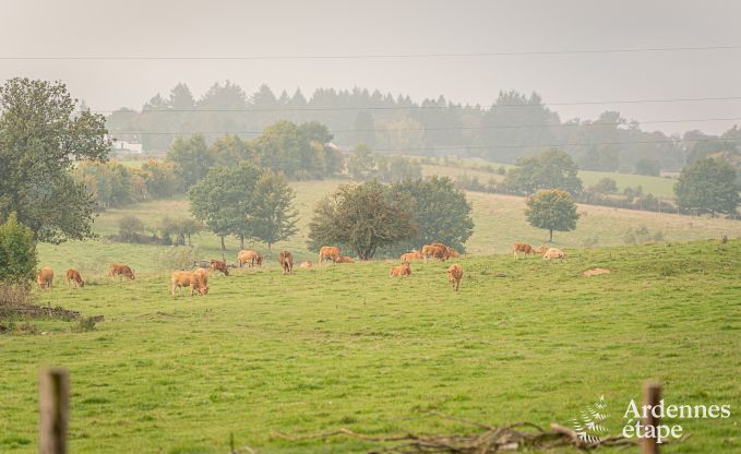 Charming tiny house for 4 people in Lglise with kitchenette, wood stove and private garden