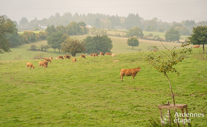 Charming tiny house for 4 people in Lglise with kitchenette, wood stove and private garden