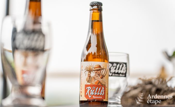 Charming tiny house for 4 people in Lglise with kitchenette, wood stove and private garden