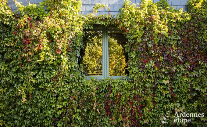 Holiday cottage in Leglise for 26 persons in the Ardennes