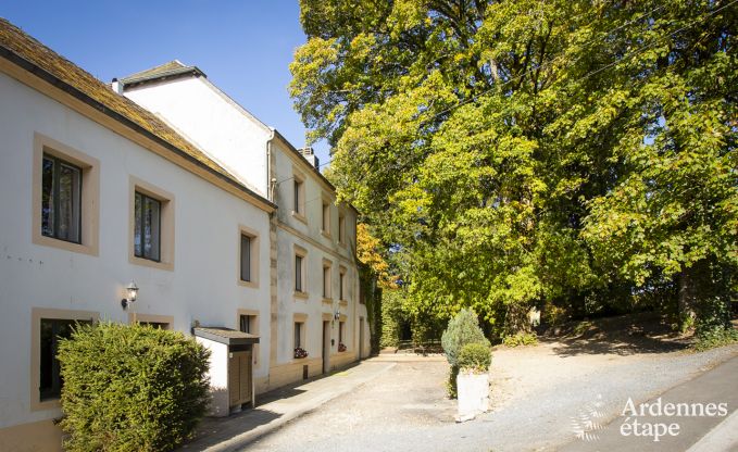 Holiday cottage in Leglise for 26 persons in the Ardennes