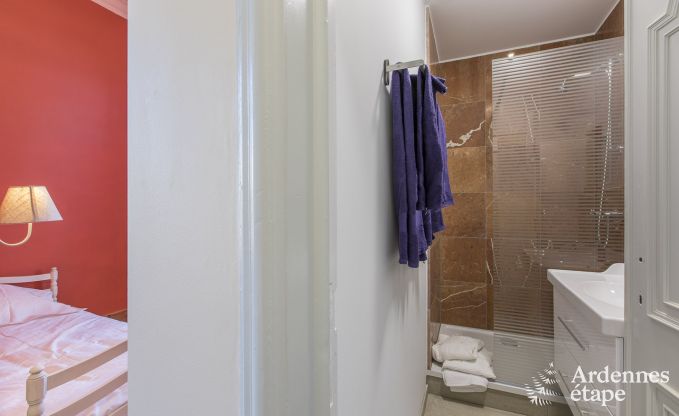 Castle in Libramont-Chevigny for 48 persons in the Ardennes