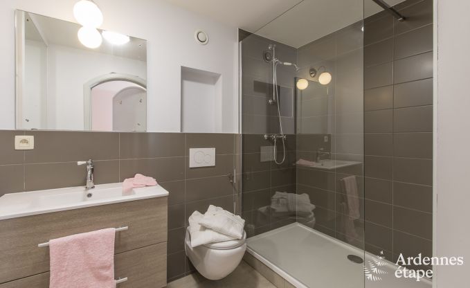 Castle in Libramont-Chevigny for 48 persons in the Ardennes