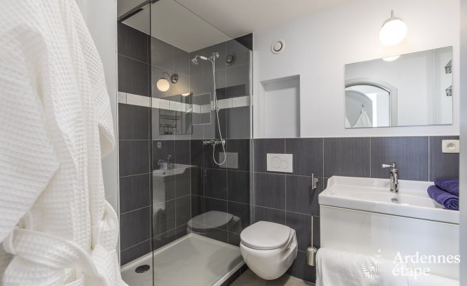 Castle in Libramont-Chevigny for 48 persons in the Ardennes