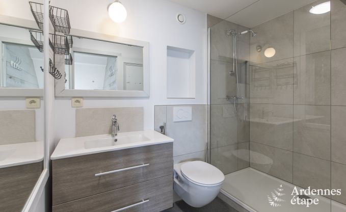 Castle in Libramont-Chevigny for 48 persons in the Ardennes