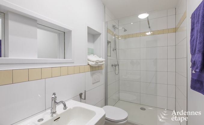 Castle in Libramont-Chevigny for 48 persons in the Ardennes