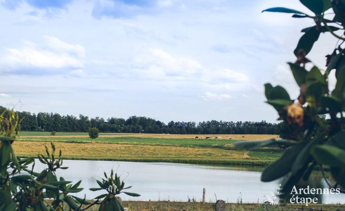 Castle in Libramont-Chevigny for 48 persons in the Ardennes