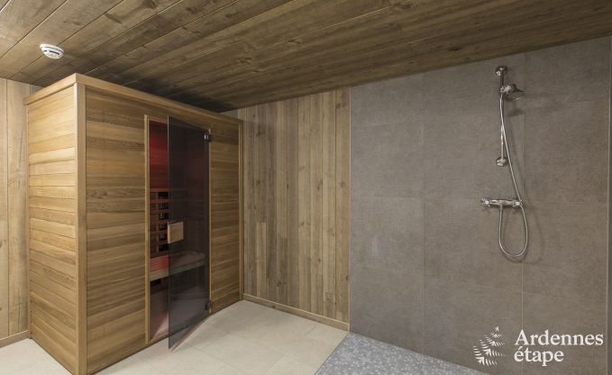 Castle in Libramont-Chevigny for 48 persons in the Ardennes