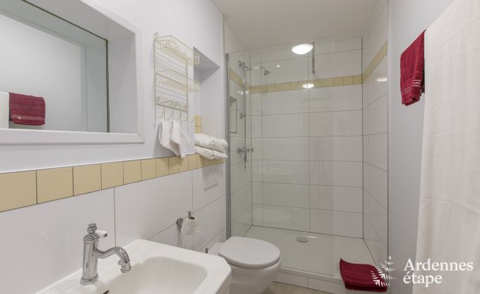 Castle in Libramont-Chevigny for 22 persons in the Ardennes