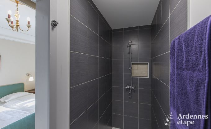 Castle in Libramont-Chevigny for 22 persons in the Ardennes