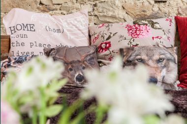 Holiday cottage in Libramont-Chevigny for 2 persons in the Ardennes