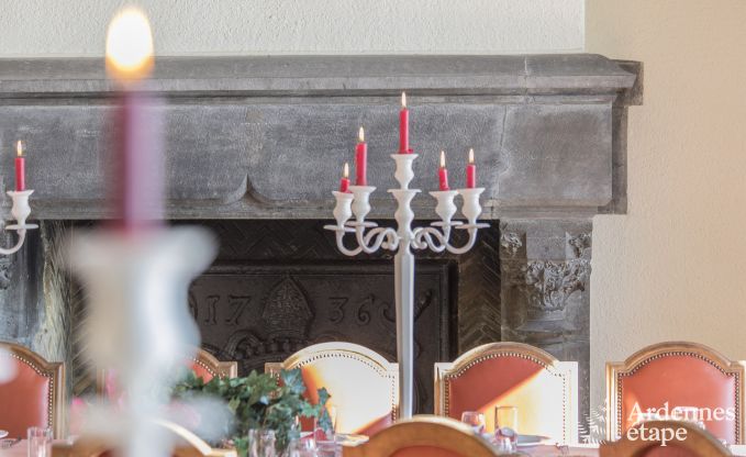 Castle in Libramont-Chevigny for 48 persons in the Ardennes