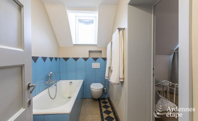 Castle in Libramont-Chevigny for 48 persons in the Ardennes