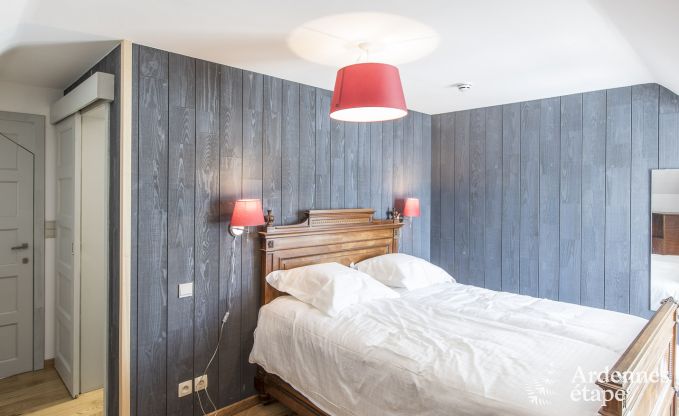 Castle in Libramont-Chevigny for 48 persons in the Ardennes