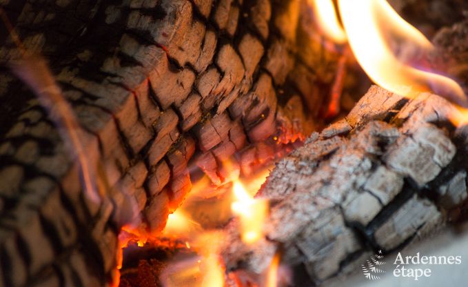 Holiday cottage in Libramont-Chevigny for 9 persons in the Ardennes