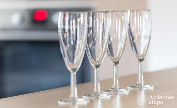 Holiday cottage in Libramont-Chevigny for 9 persons in the Ardennes