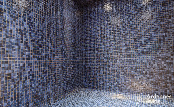 Holiday cottage in Libramont-Chevigny for 7/9 persons in the Ardennes