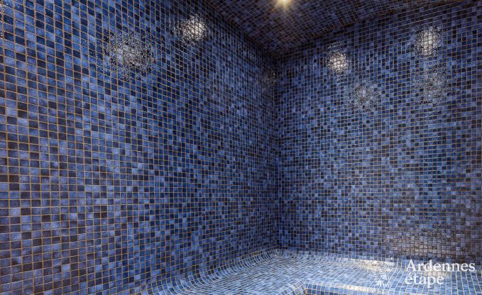 Holiday cottage in Libramont-Chevigny for 7/9 persons in the Ardennes