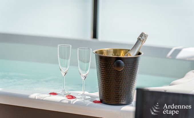 Apartment in Libramont for 2 persons in the Ardennes