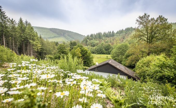 3* chalet for 4 p. to rent in the Ardennes, at the woods’ edge