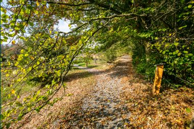 Chalet in Lierneux for 4/5 persons in the Ardennes
