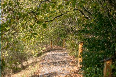 Exceptional in Lierneux for 4/5 persons in the Ardennes