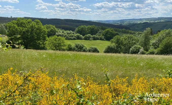 Spacious villa for 12 people in Lierneux.