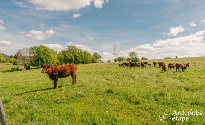 Holiday cottage in Lierneux for 15 persons in the Ardennes