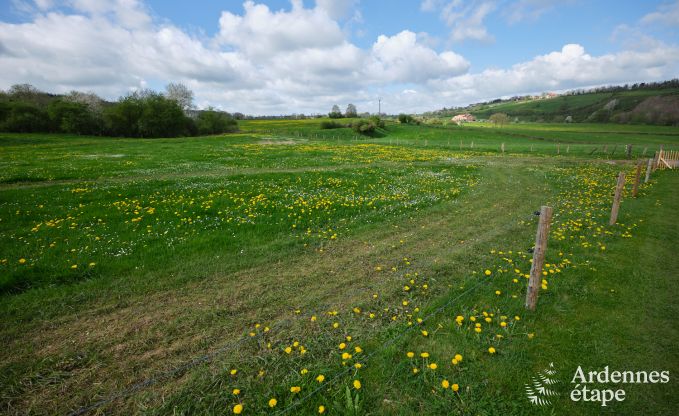 Comfortable holiday villa for 14 in Limburg, Ardennes