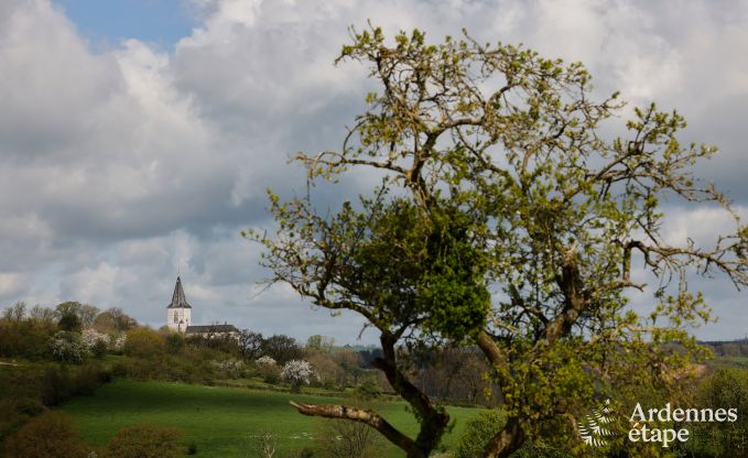 Comfortable holiday villa for 14 in Limburg, Ardennes