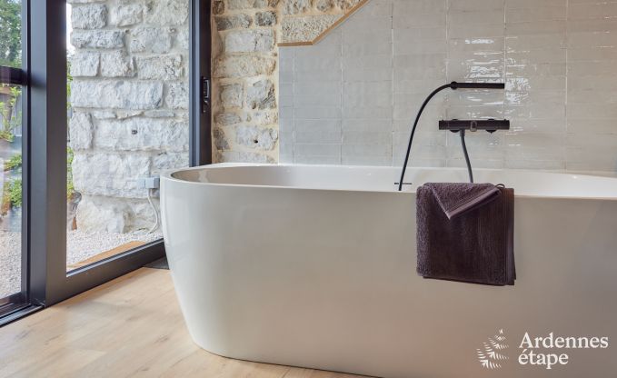 Comfortable holiday villa for 14 in Limburg, Ardennes