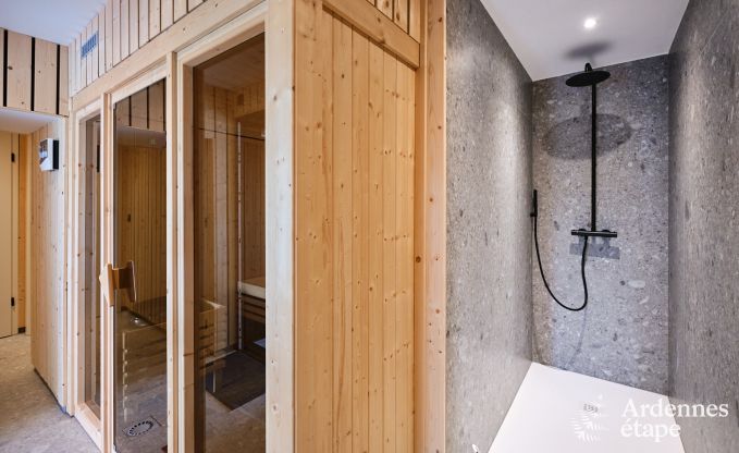 Comfortable holiday villa for 14 in Limburg, Ardennes