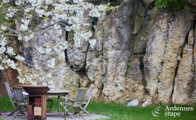 Comfortable holiday villa for 14 in Limburg, Ardennes