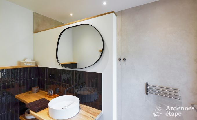 Comfortable holiday villa for 14 in Limburg, Ardennes