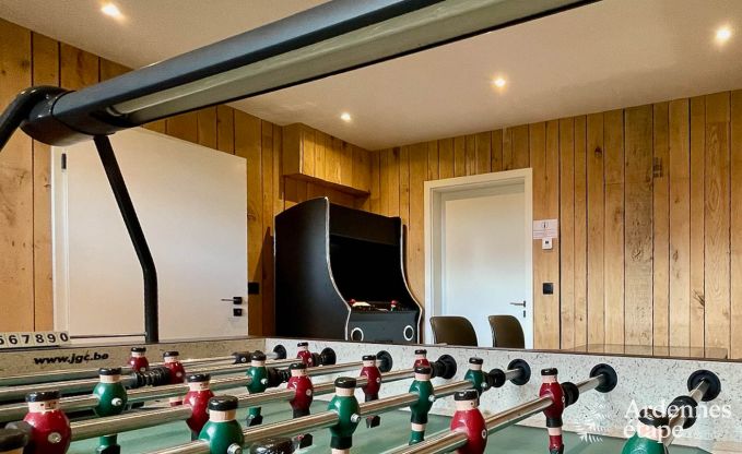 Comfortable holiday villa for 14 in Limburg, Ardennes