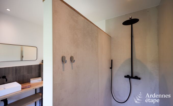 Comfortable holiday villa for 14 in Limburg, Ardennes