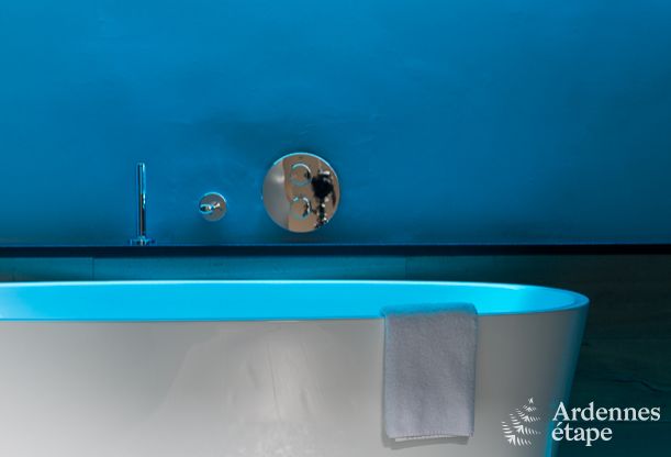 Luxury villa for 8 people with extra amenities in Malmedy in the Ardennes