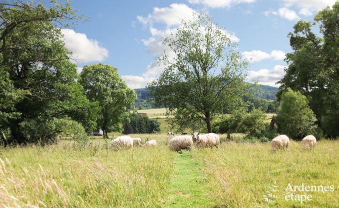 Apartment in Malmedy for 7 persons in the Ardennes