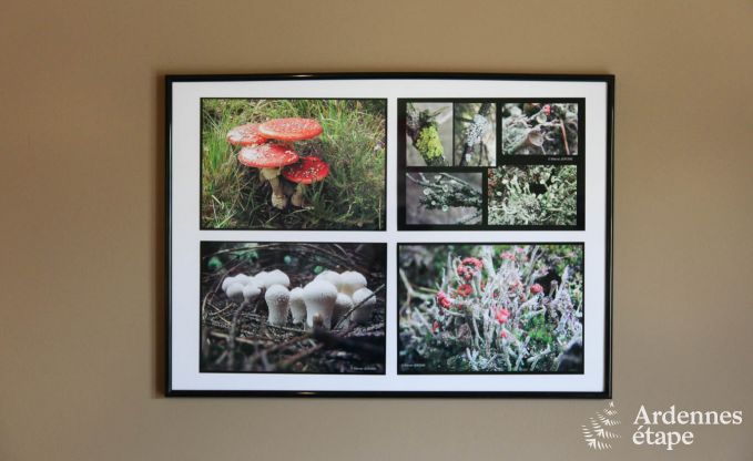 Apartment in Malmedy for 7 persons in the Ardennes