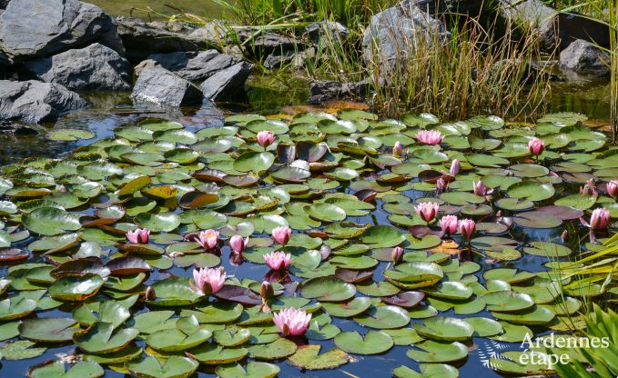Chalet in Malmedy for 20 persons in the Ardennes