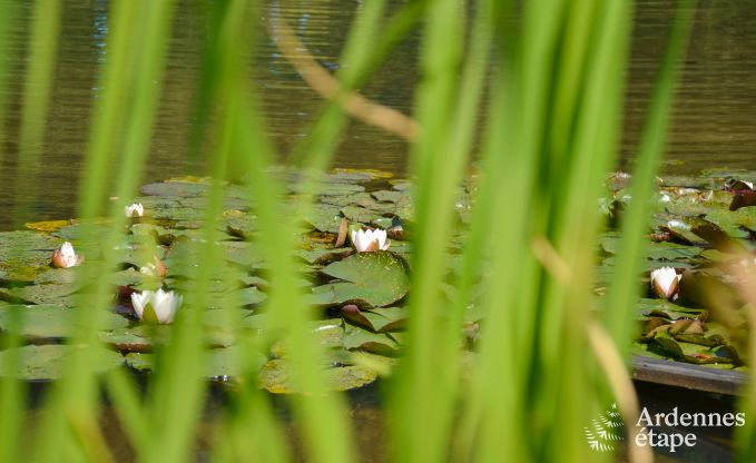 Chalet in Malmedy for 20 persons in the Ardennes