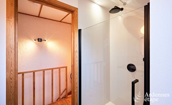 Chalet in Malmedy for 12/14 people in the High Fens